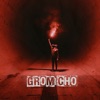 Gromicho