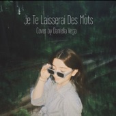 Je Te Laisserai Des Mots (Cover) artwork