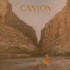 Canyon Instrumental Performance Tracks album lyrics, reviews, download