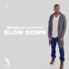 Slow Down (feat. Lee Wilson) - Single