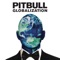 This Is Not a Drill (feat. Bebe Rexha) - Pitbull lyrics