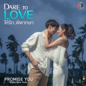 Promise You (จาก "ละคร Dare To Love ให้รักพิพากษา") artwork