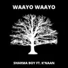 Waayo Waayo (feat. K'naan) - Single album lyrics, reviews, download