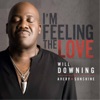 Will Downing - I'm Feeling the Love (feat. Avery*Sunshine)