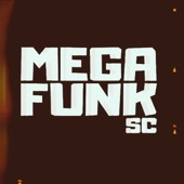 Mega Funk Na Brisa Que É Bom artwork