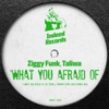 Ziggy Funk - What You Afraid of (Disco Phobia Mix)