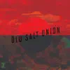 Old Salt Union album lyrics, reviews, download