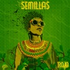 Semillas - Single