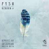 Reborn (feat. Mary) [Sam Jaspersohn Remix] artwork