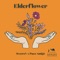 Elderflower artwork