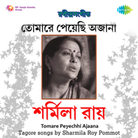 Sharmila Roy - Tomare Peyechhi Ajaana artwork