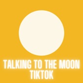 Talking To The Moon Tiktok (Remix) artwork