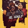 Mi Vida Entera - Single