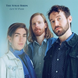 The Stray Birds - Nothing to Say About It Now