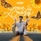 Love Is Crazy - Anees lyrics