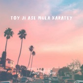 Toy Ji Ase Mula Karatey artwork