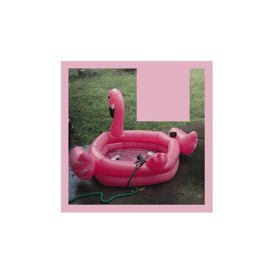 Cover artwork for F.U.S.