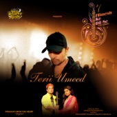 Terii Umeed artwork