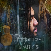 Primordial Waters artwork