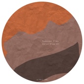 Tedanny Flac - Carpe Diem - Original Mix