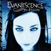 Bring Me to Life - Evanescence Cover Art