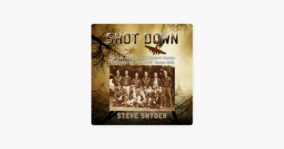 ‎Apple BooksのSHOT DOWN: The True Story Of Pilot Howard Snyder And The ...