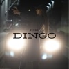 Dingo - Single