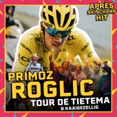 Primoz Roglic (Après Skischans Hit) artwork