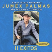 Mis Mejores Corridos (11 Exitos) artwork