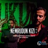 Nemrudun Kızı (Çukur Orijinal Dizi Müziği) [feat. Toygar Işıklı] - Single