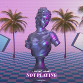 Not Playing (Extended Mix) artwork