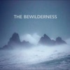 The Bewilderness