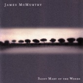 James McMurtry - Valley Road