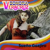 Sueño Guajiro artwork