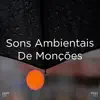 !!!" Sons Ambientais De Monções "!!! album lyrics, reviews, download