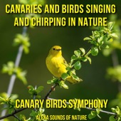 Birds Singing in the Winter Forest artwork