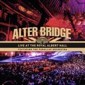 Live at the Royal Albert Hall Featuring the Parallax Orchestra artwork