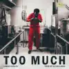 Stream & download Too Much - Single