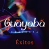 Guayaba Orquesta Éxitos, Vol.1, 2018