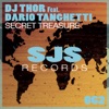 Secret Treasure (feat. Dario Tanghetti) - Single