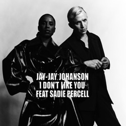 Jay-Jay Johanson - I Don't Like You (feat. Sadie Percell)