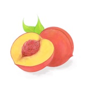 Apricot artwork