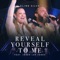 Reveal Yourself to Me (feat. Jason Lee Jones) - Aline Silva lyrics