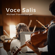 Voce Salis - Michael Frankenberger