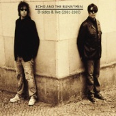 ECHO & THE BUNNYMEN - A Promise