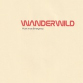 Wanderwild - Not Buying (feat. Rose Hotel)