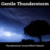 Gentle Thunderstorm, 2021