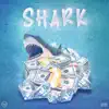 Shark (feat. BIIGMALS) - Single album lyrics, reviews, download
