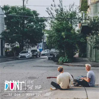 Sure Don't Miss You (feat. The Dip) by BUNT. song reviws