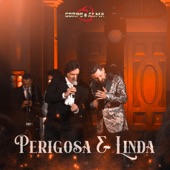 Perigosa E Linda (Corpo e Alma 50 Anos) artwork